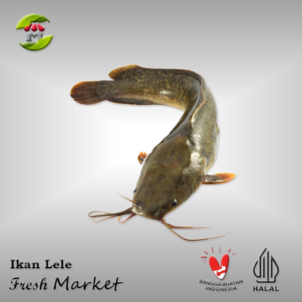 

Ikan Lele Frozen 950gr - 1.000gr