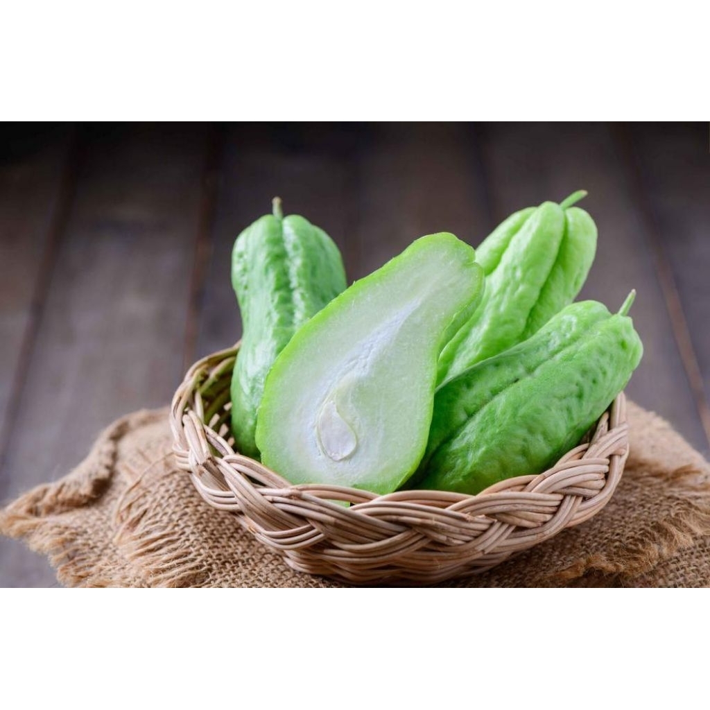 

labu Siam besar fresh