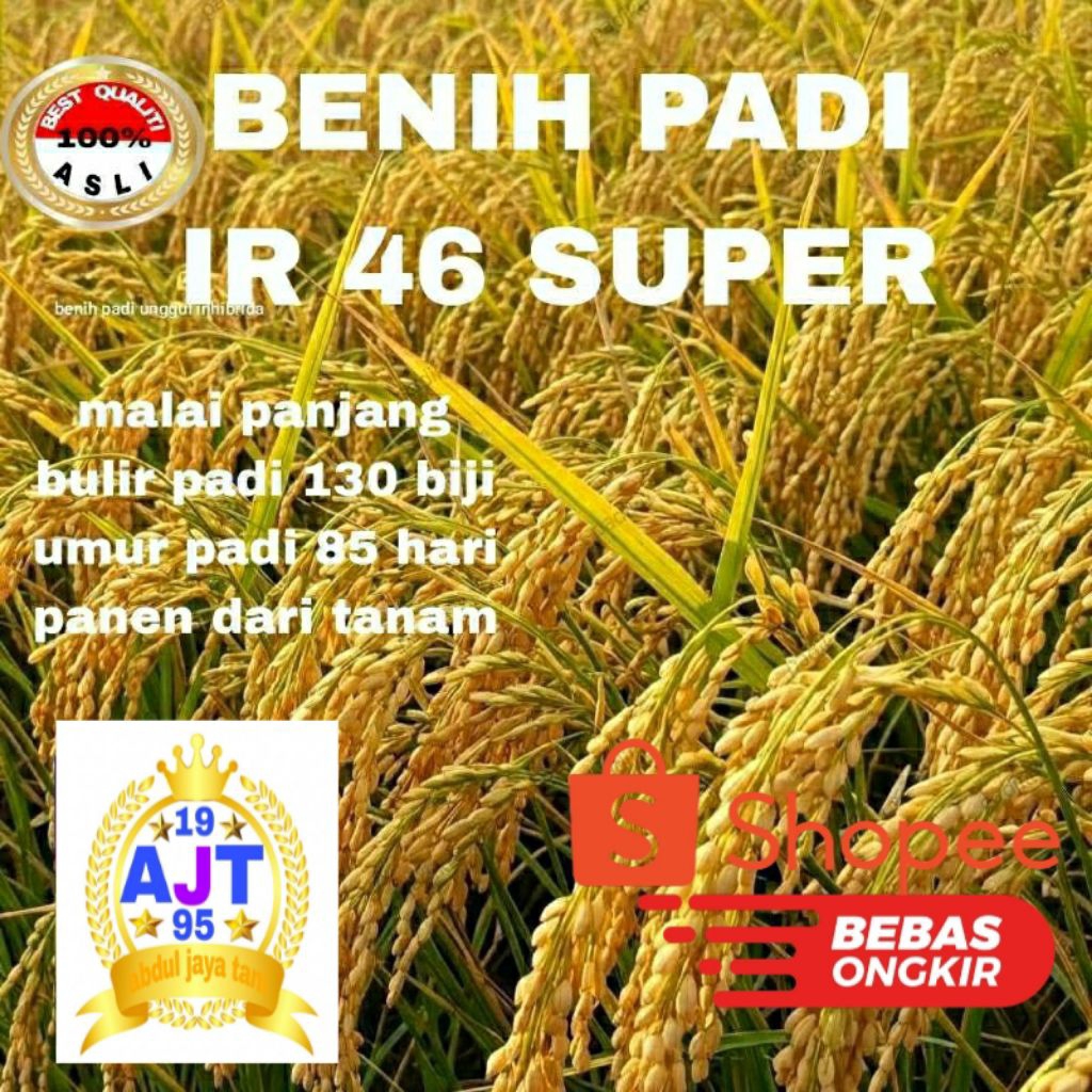 BENIH PADI IR 46 SUPER KEMASAN 5KG