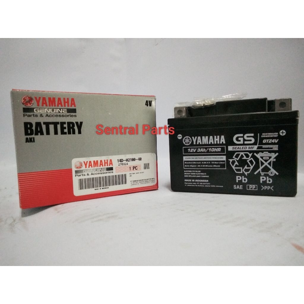 BATTERY ASSY GTZ 4 V