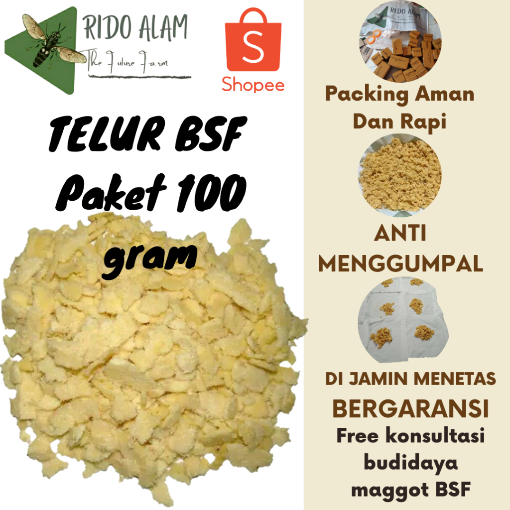 Telur maggot bsf Paket 100gram  | Telur Lalat bsf Super |Telur bsf fresh baru di panen | telur maggo