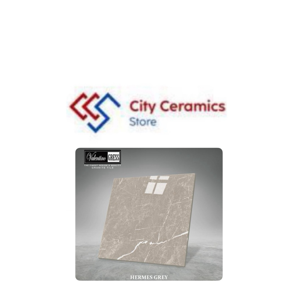 VALENTINO GRESS HERMES GREY 60x60
