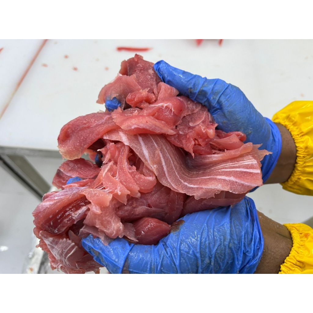 

Tetelan Tuna Merah packing 500 gr