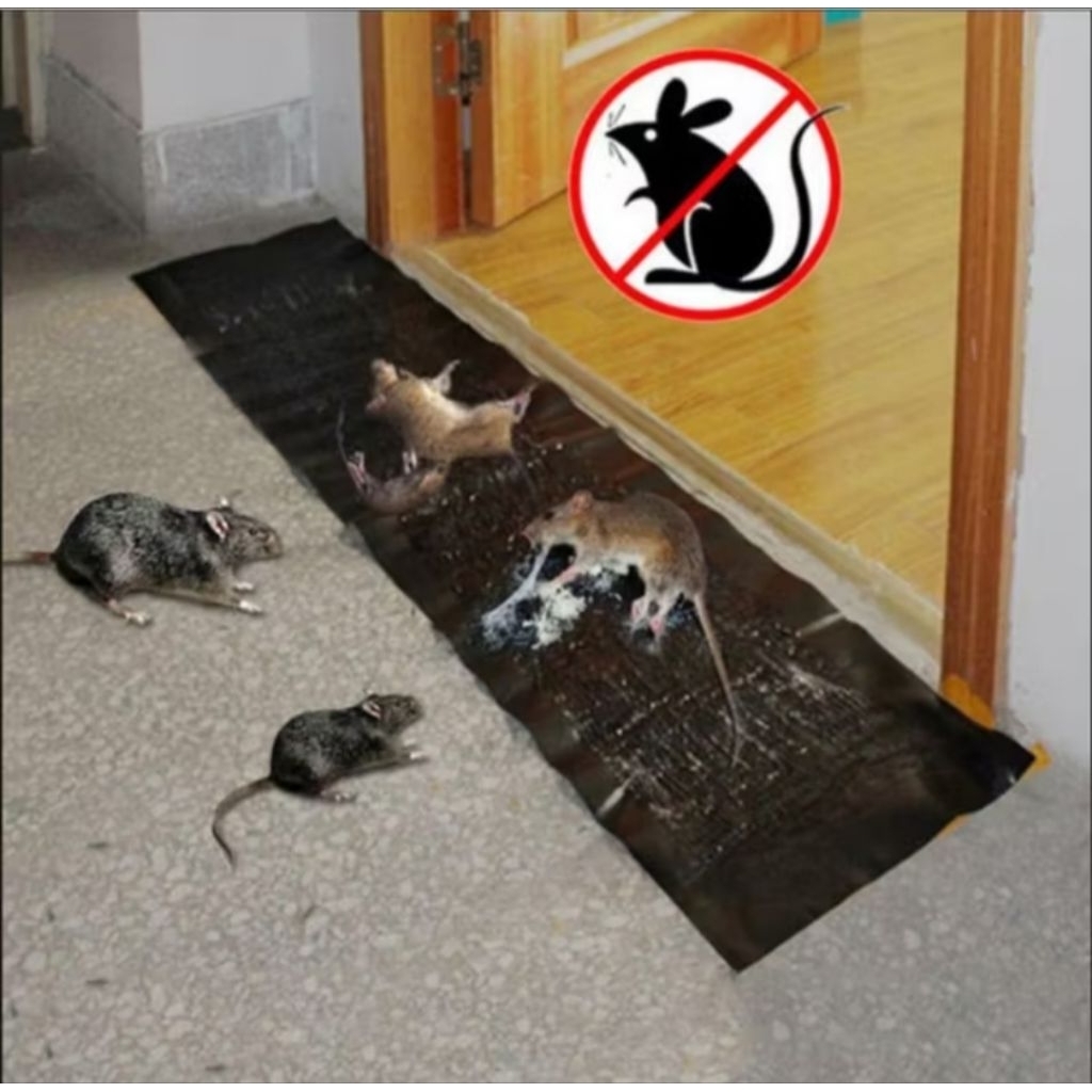 Lem Perangkap Tikus Lem Jebakan Tikus Pembasmi Tikus Tempelan Tikus Lem Tikus Kuat Lem Hama