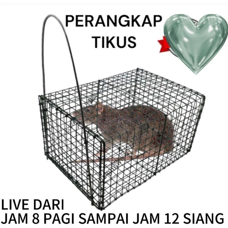 PERANGKAP TIKUS TEBAL / JEBAKAN TIKUS / SENTEG TIKUS