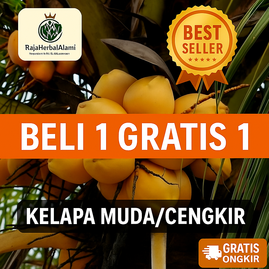 

Buah Kelapa Cengkir Kuning / Kelapa Gading Siap Olah | COD
