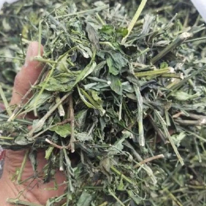 

1kg Daun sambiloto cacah kering 1 kg Sambiroto cacah 1000gram Sambiloto