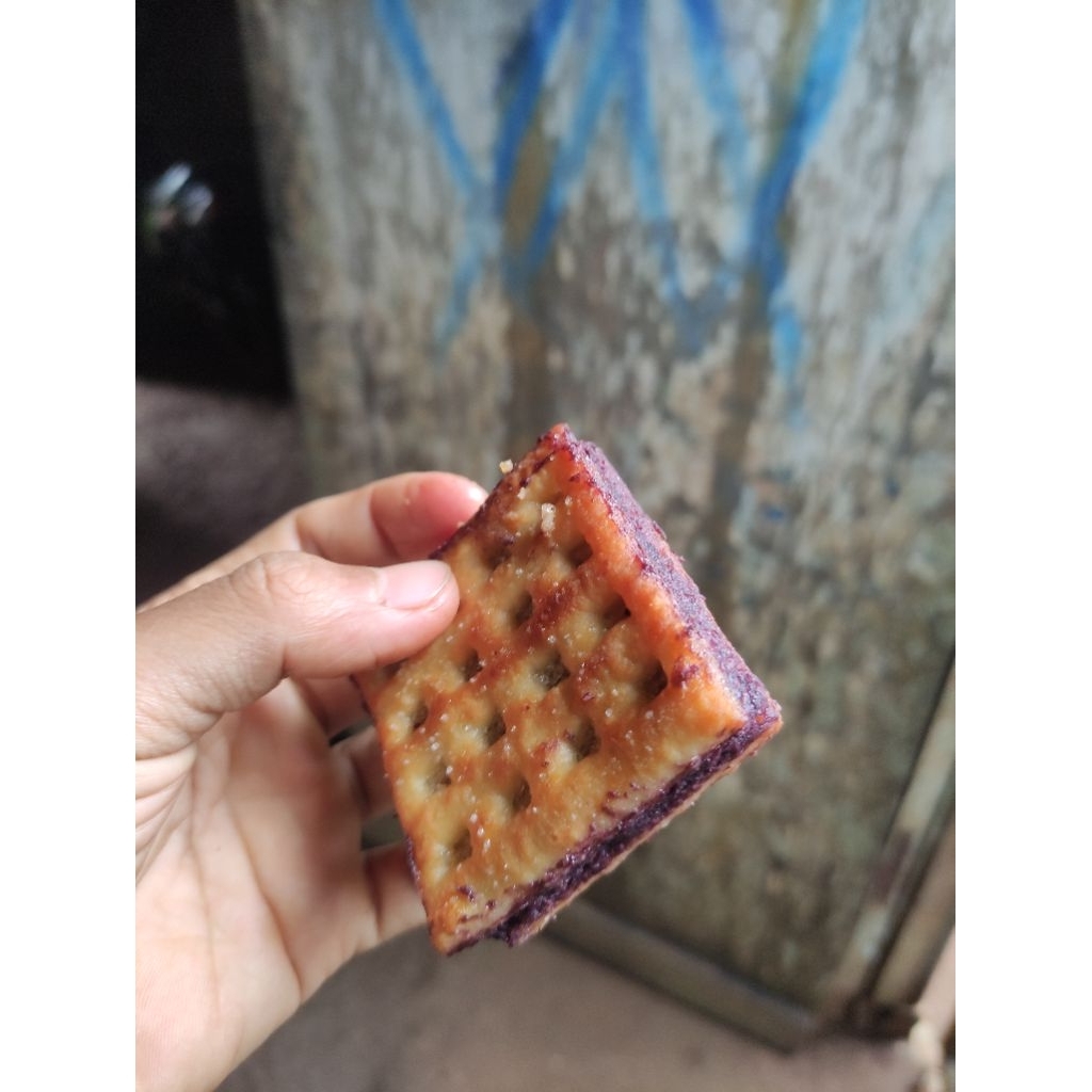 

Roti Gabin Aneka Rasa isi 10 PCS