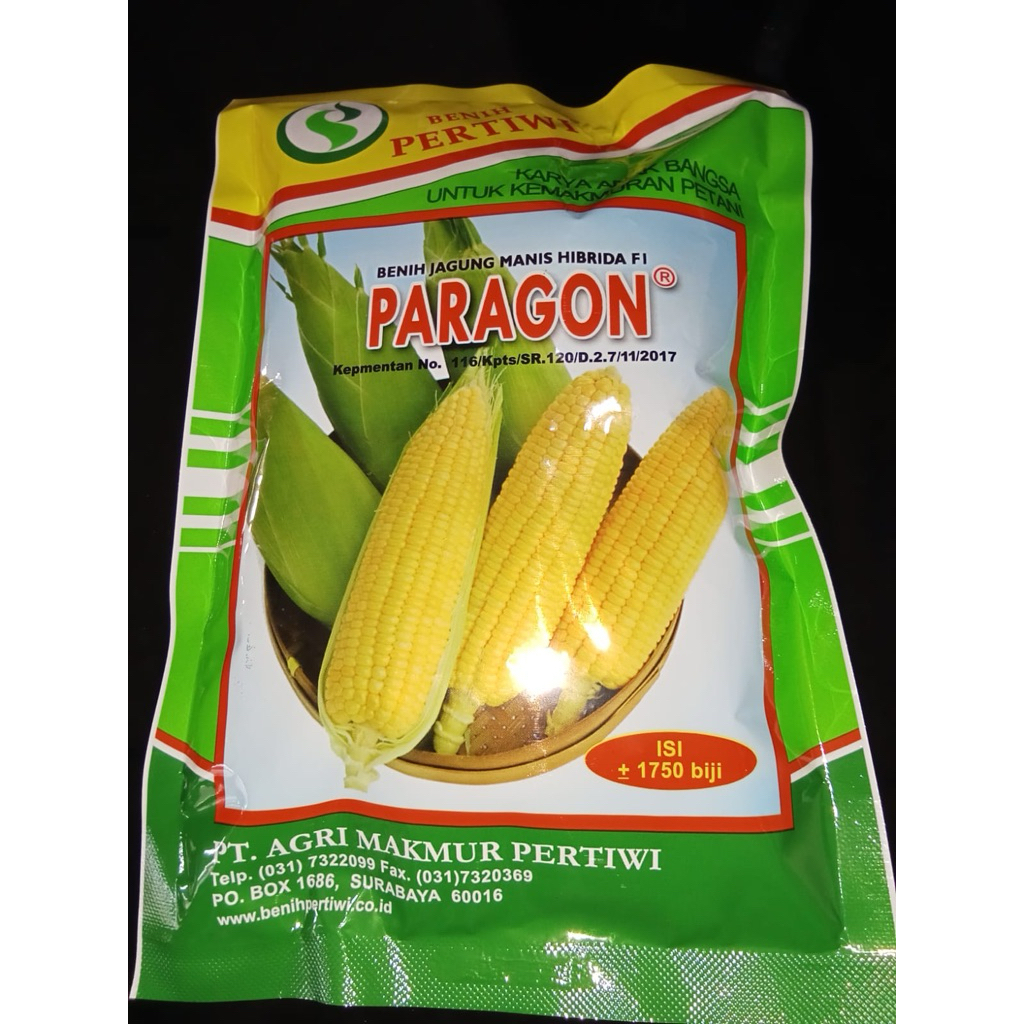 bibit jagung manis paragon