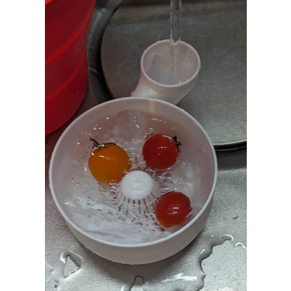 Automatic vegetable and fruit washer