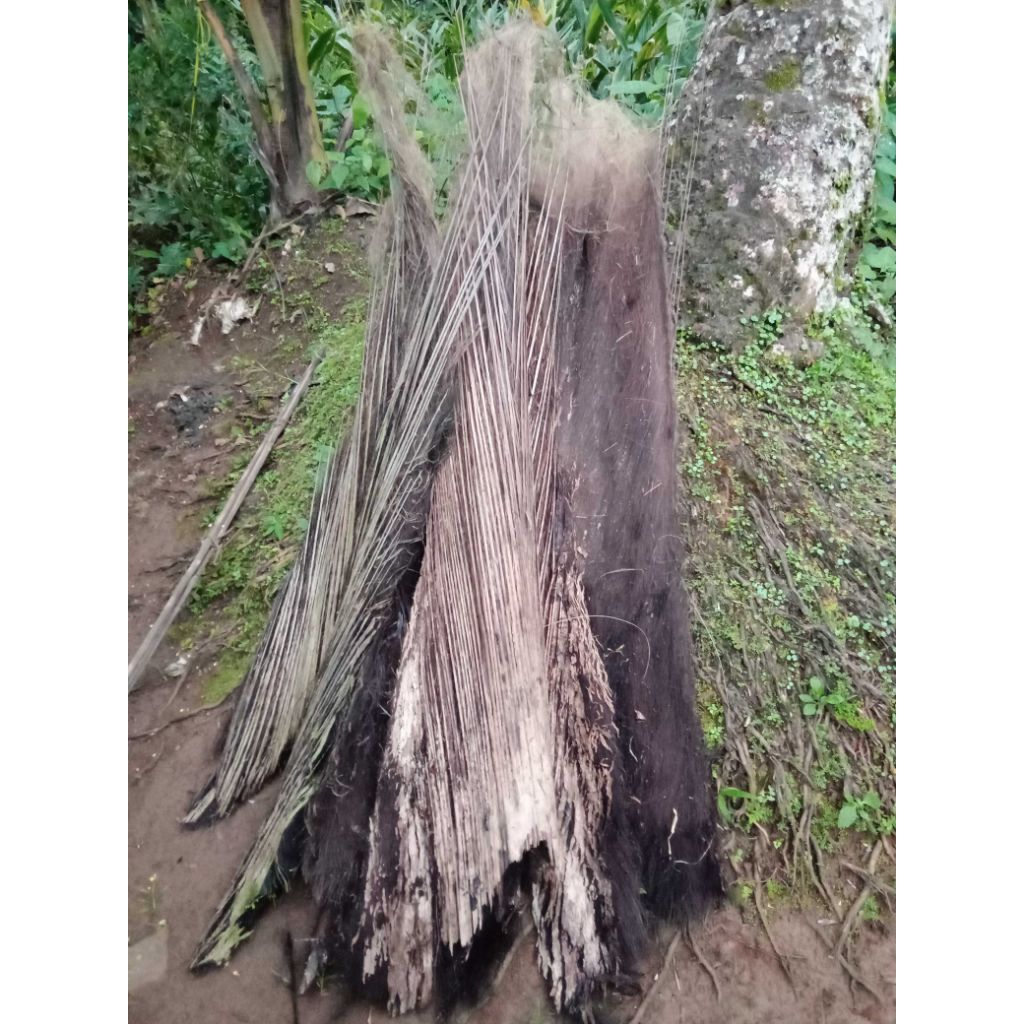 injuk bahan atap saung,.perlembar.