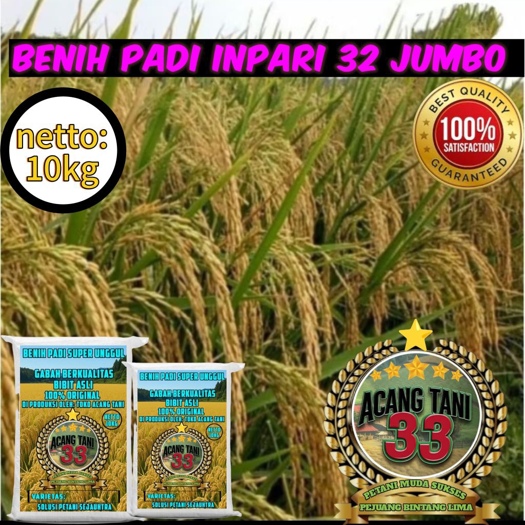 BENIH PADI INPARI 32 JUMBO KEMASAN 10KG