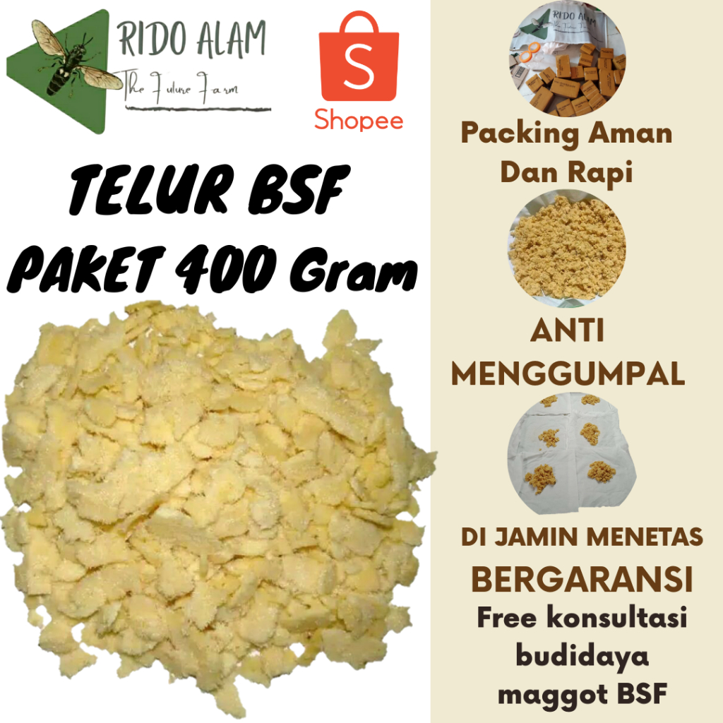 Telur maggot bsf Paket 400gram| Telur Lalat bsf Super |Telur bsf fresh baru di panen | telur maggot