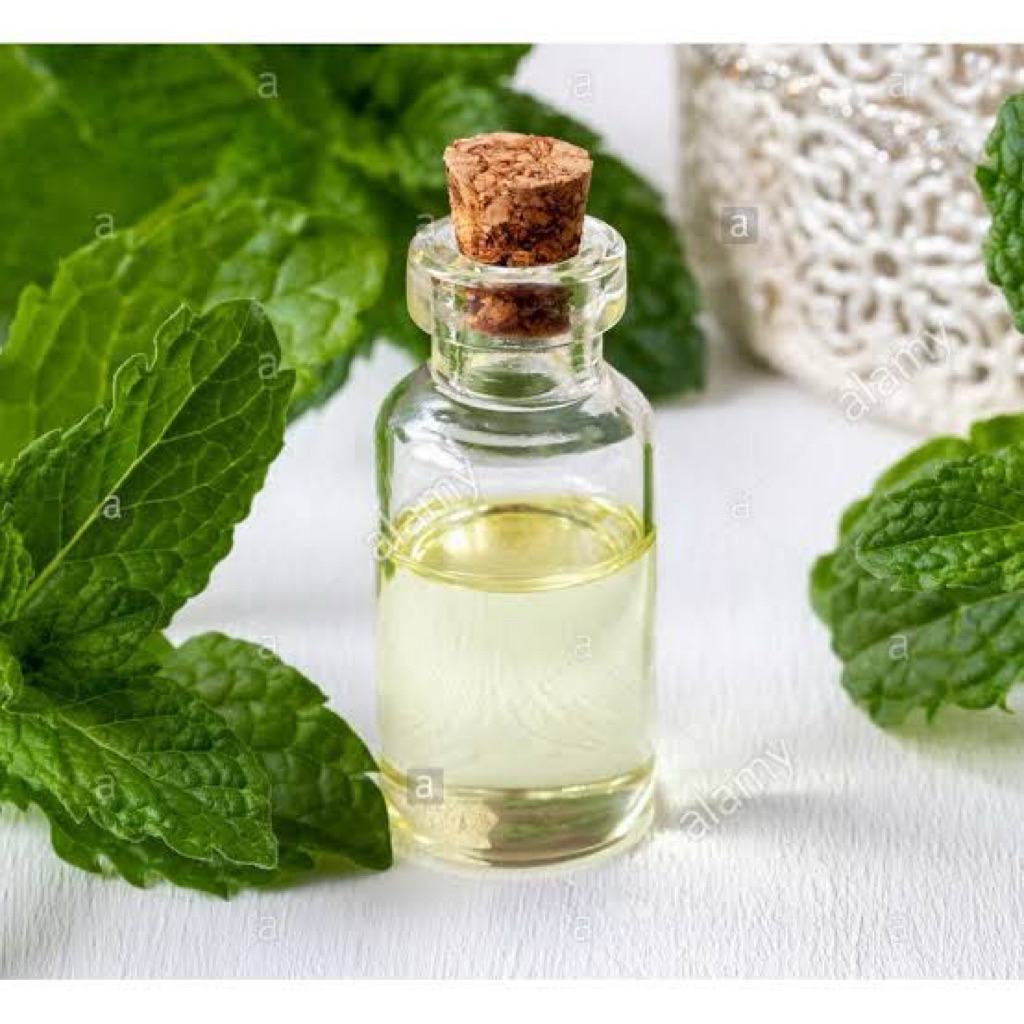 Minyak Peppermint ( Peppermint Oil )