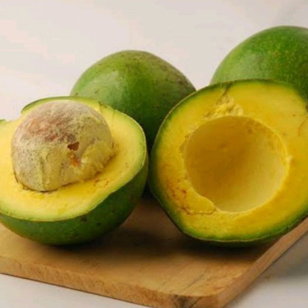 

MURAH BANGET !! Alpukat mentega 1 kg isi 3 sampai 5 buah (GARANSI UANG KEMBALI)