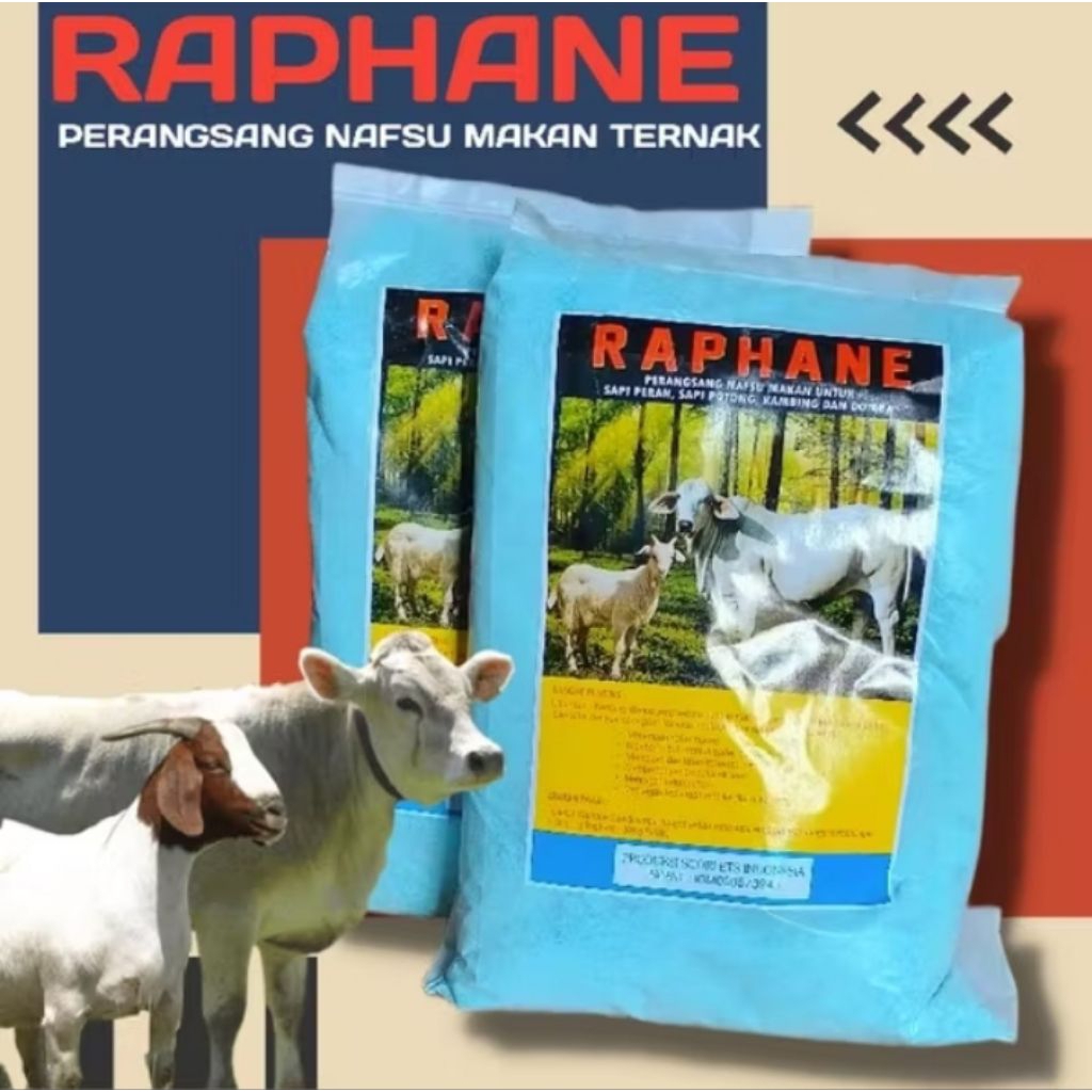 jamu sapi raphane sapi raphane mineral 1kg raphane susu sapi bubuk Raphane: Pertumbuhan Maksimal, Bi