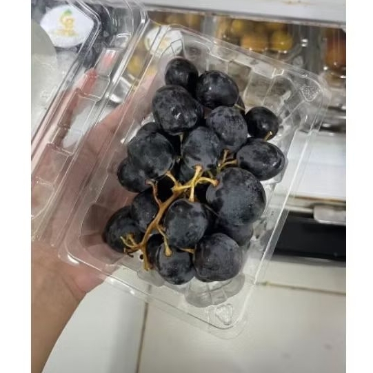 

Aneka Buah Segar Plum Merah Anggur Merah Hijau Hitam