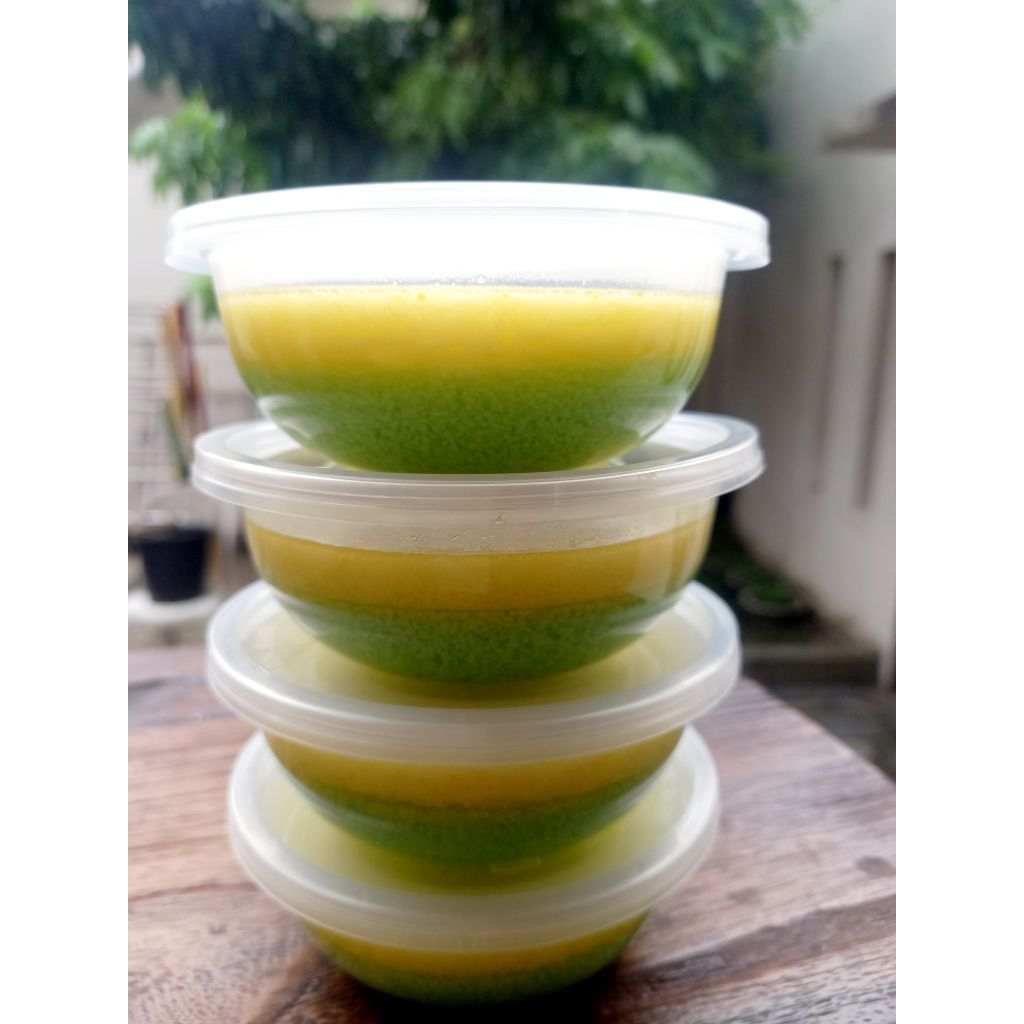 

KIRIM INSTAN PUDING LUMUT MENTEGA CUP 200 ML