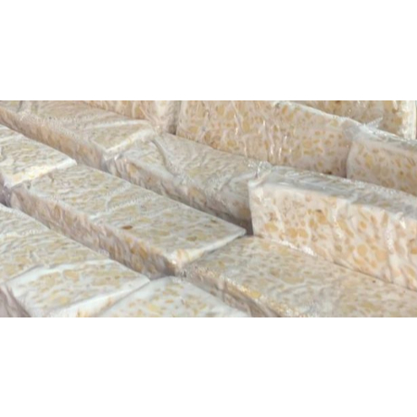 

Tempe Plastik Ukuran Besar Medan Daily Market