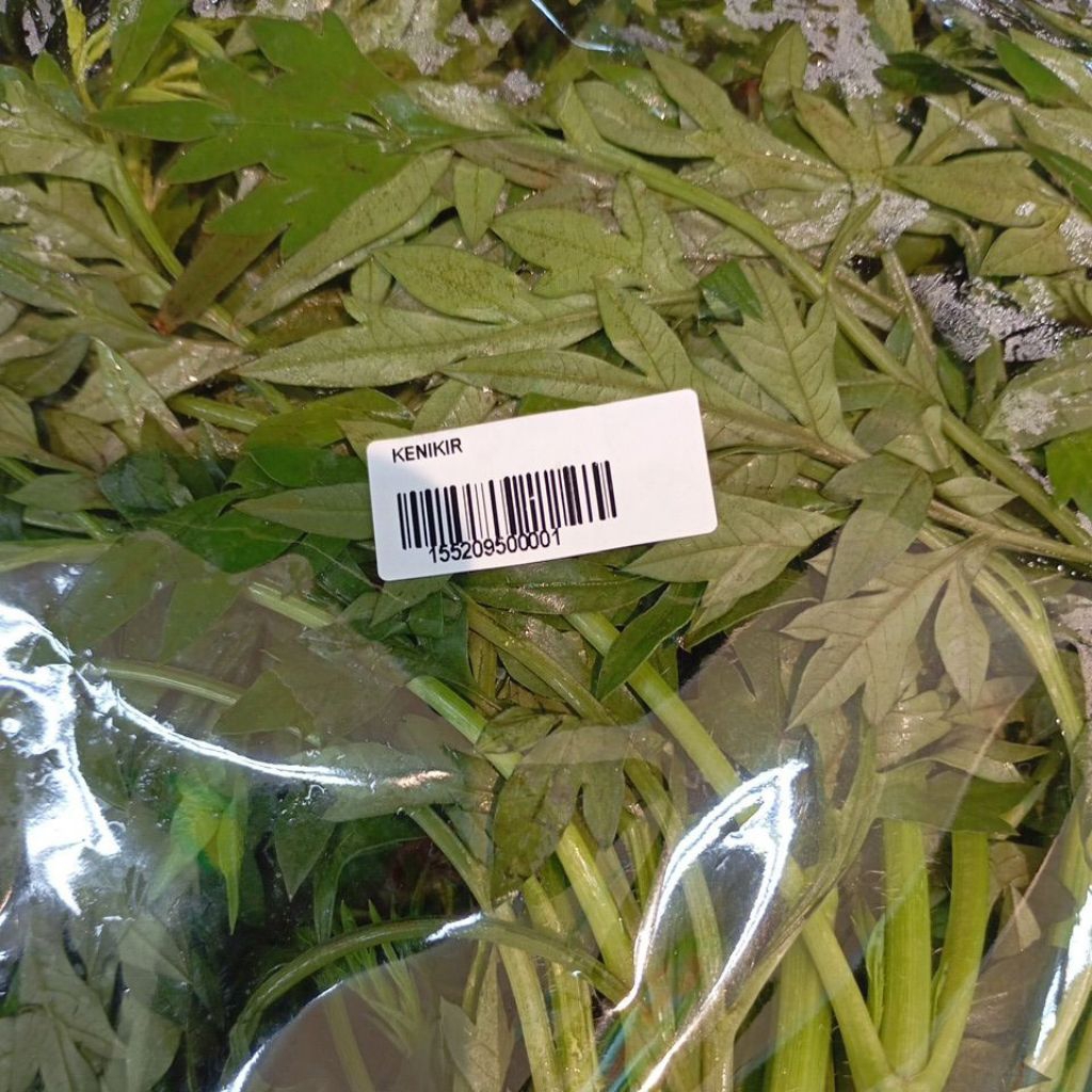 

Daun Kenikir Segar Sayur Sayuran fresh 200 gram