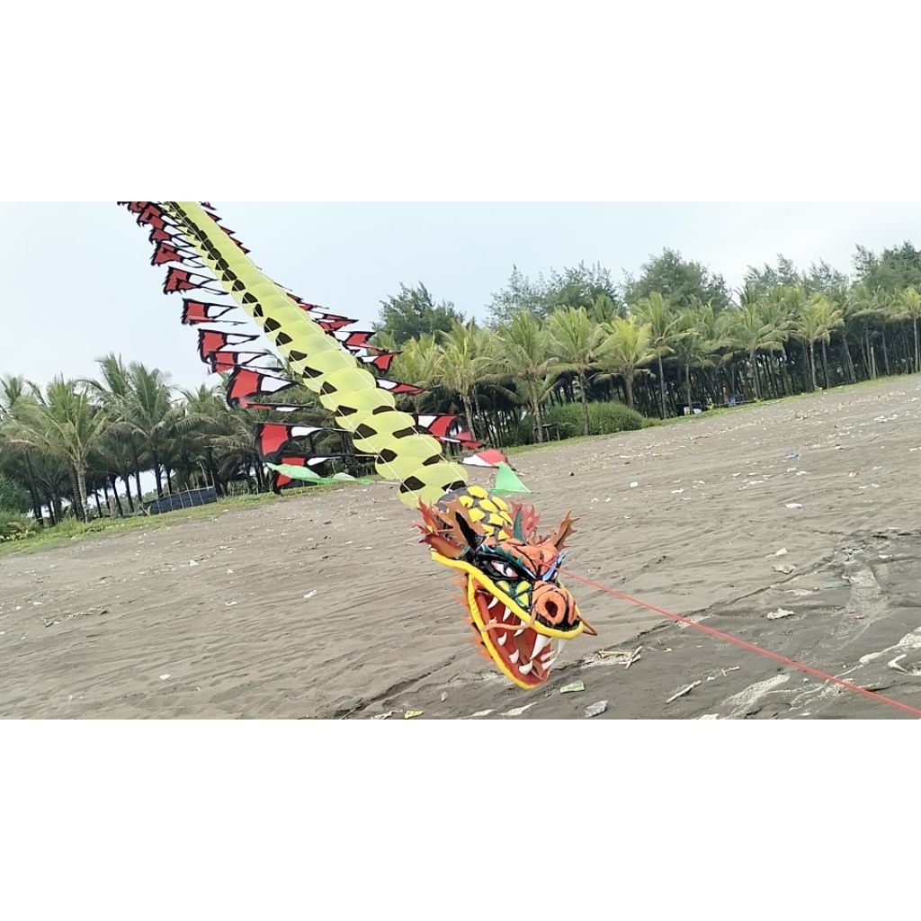 kepingan layangan naga termurah dm15