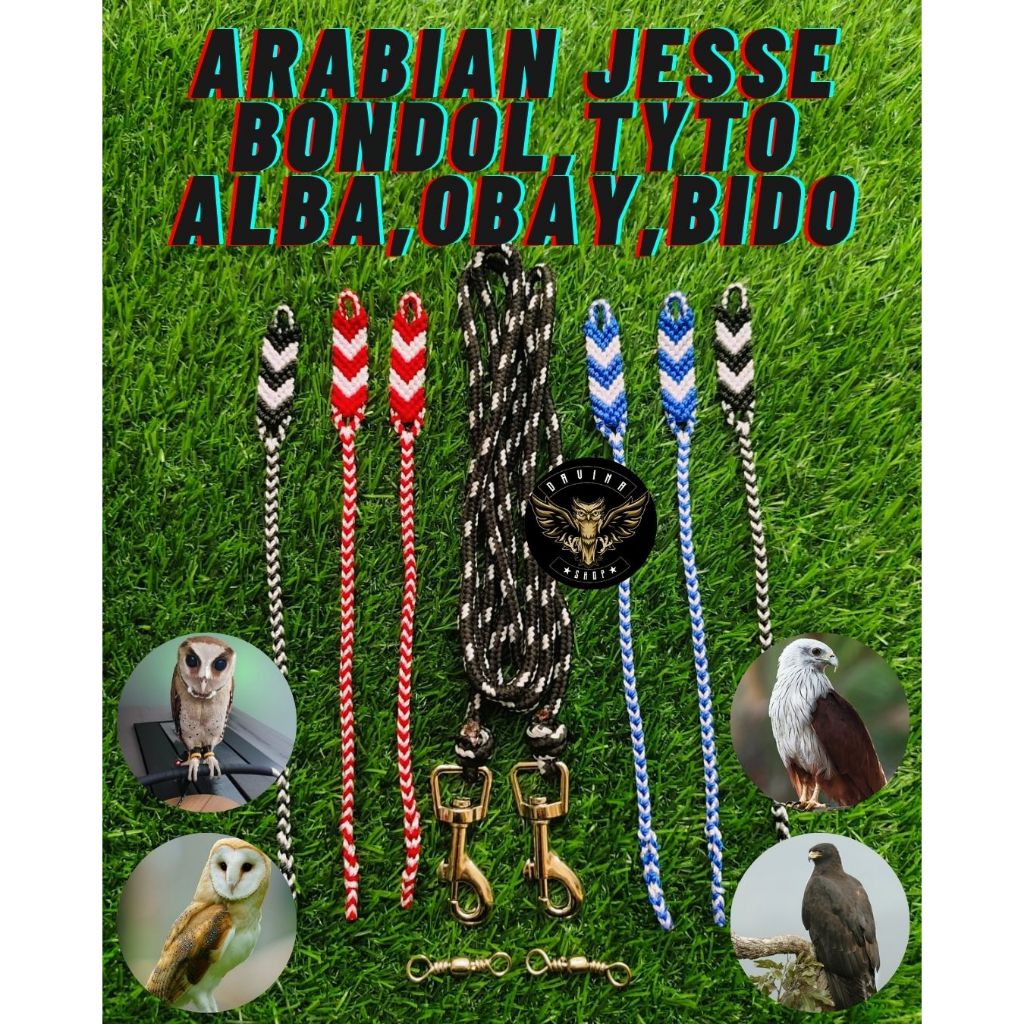 SET Angklet arabian jesse elang Bondol/tyto Alba/Obay/elang bido