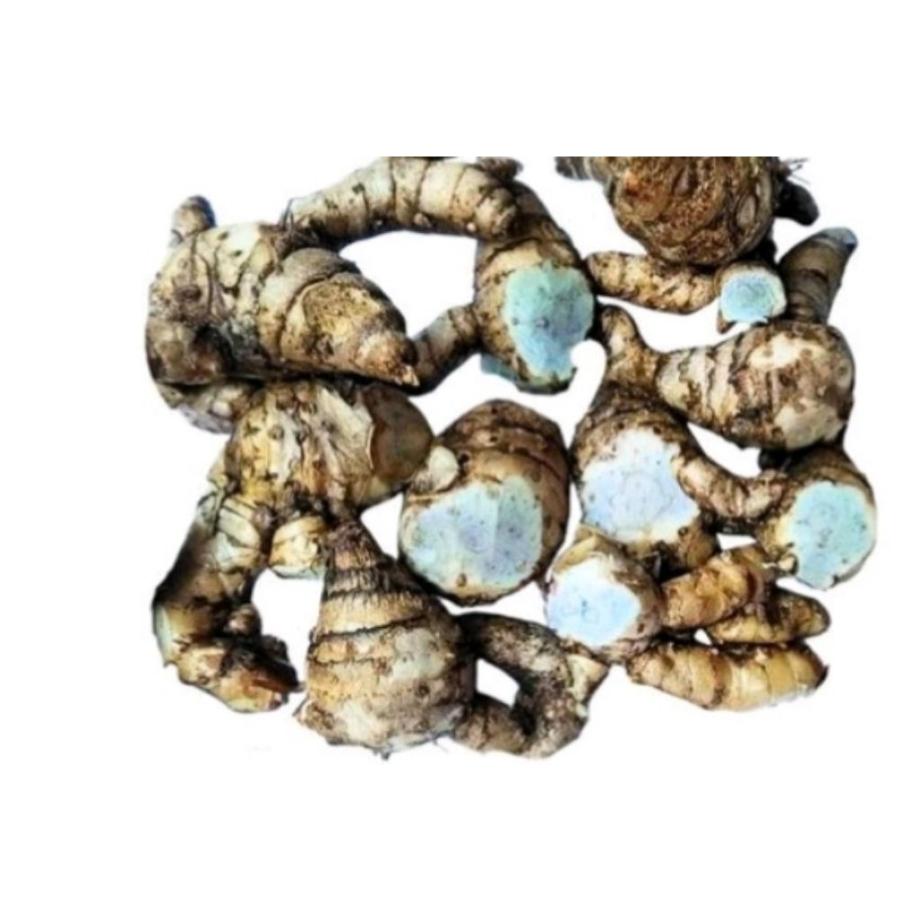 

Rempang tembu Ireng/500gram