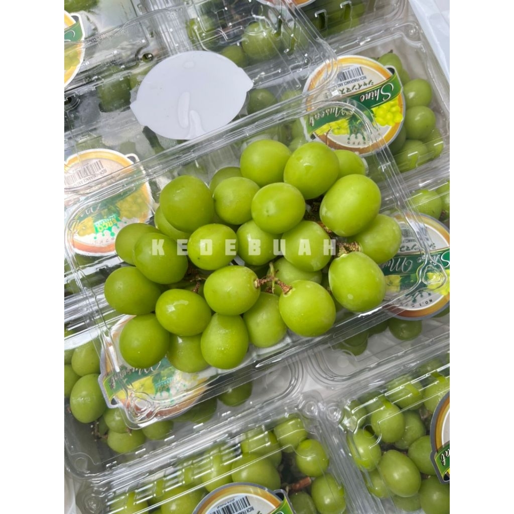 

Anggur Shine Muscat Green Seedless (Buy 1 Get 1)
