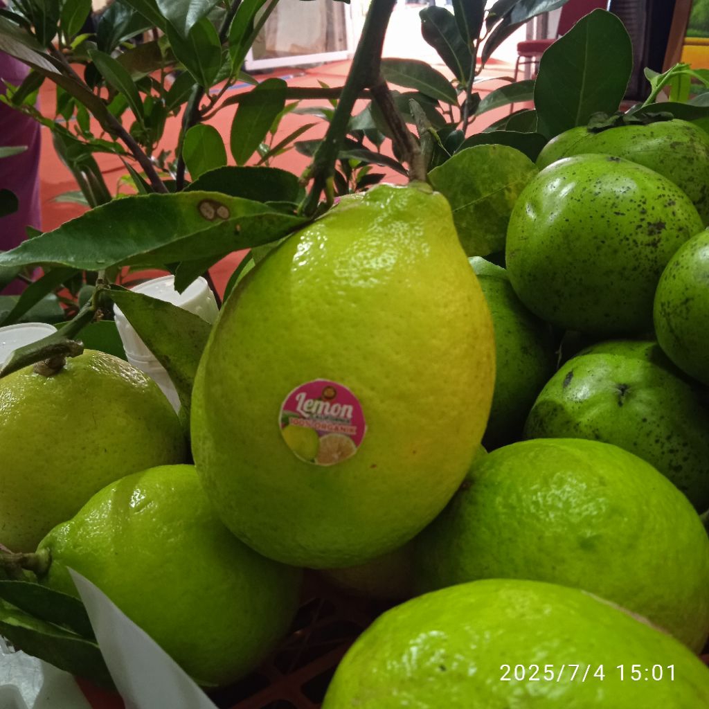 

lemon California organik