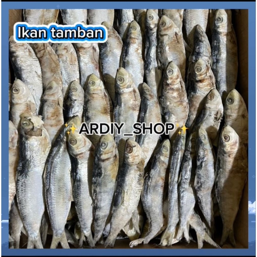 

IKAN ASIN TAMBAN KERING ENAK GURIH DAN NIKMAT