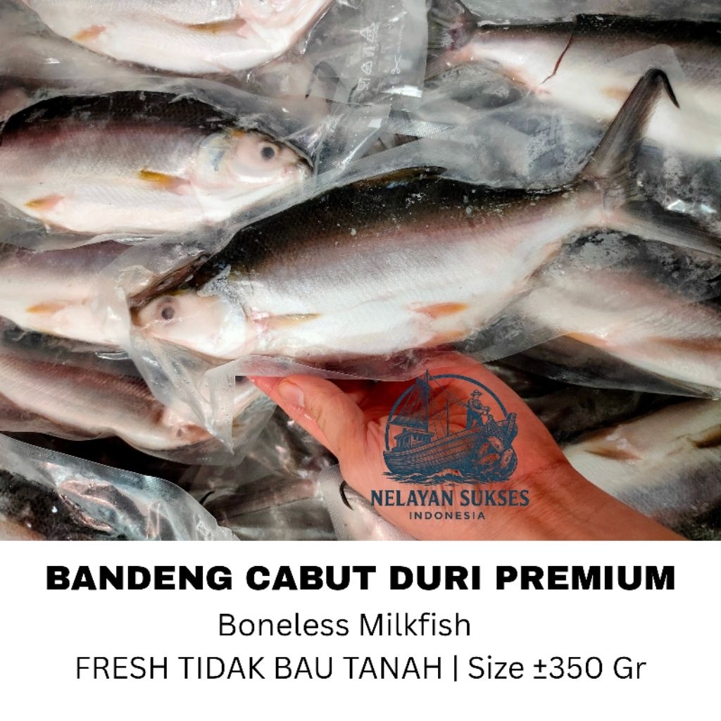 

Ikan Bandeng Cabut Duri - Siap Masak - Tanpa Duri
