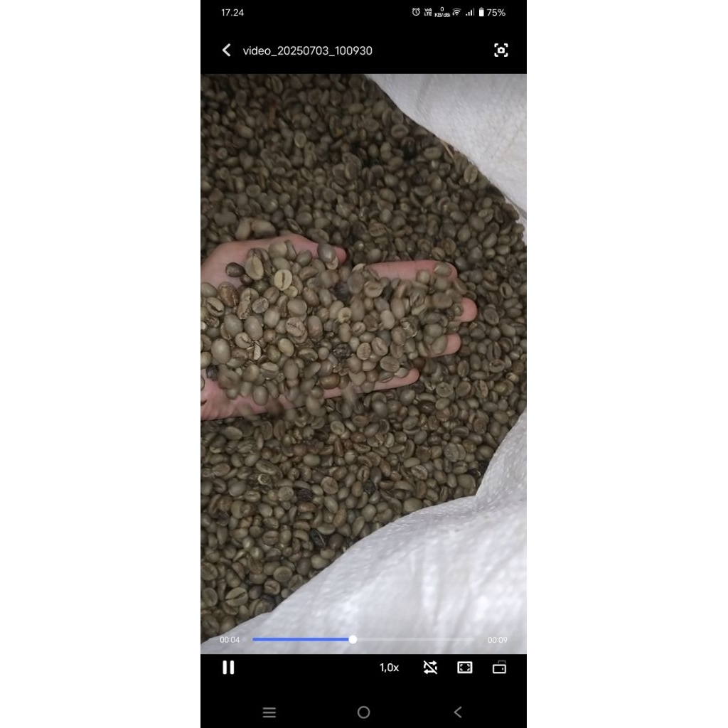 

biji kopi robusta 1kg