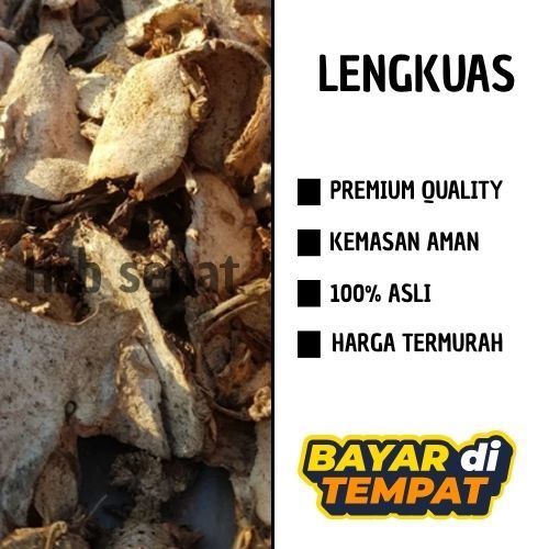 

LENGKUAS KERING 1 KG MURAH MERIAH