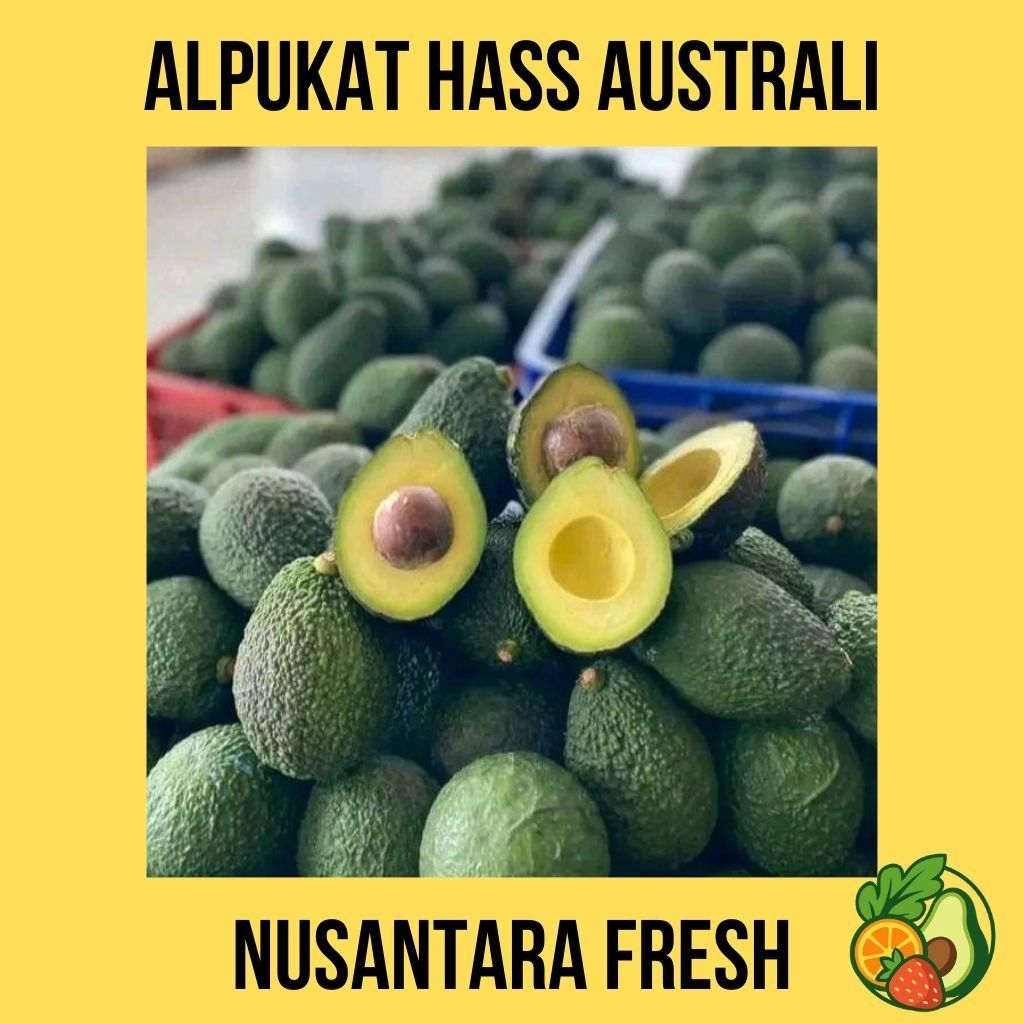 

Alpukat Hass 1 Kg – Lembut, Tidak Pahit, Cocok Jus & MPASI
