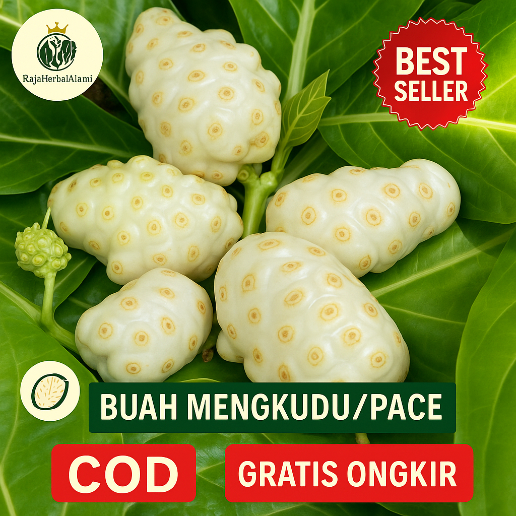 

Buah Mengkudu - Buah Pace - Buah Noni 500 GRAM Murah | COD