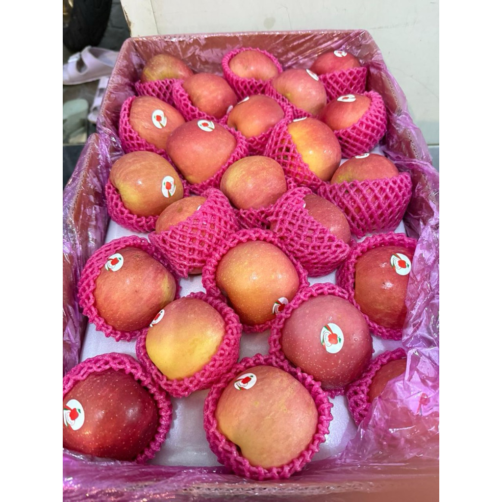 

apel fuji ukuran 6-8 1kg