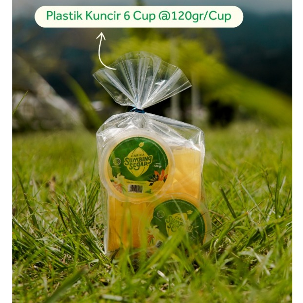 

Carica Sumbing Khas Wonosobo/carica premium/carica 1 plastik/carica sumbing segar/carica ekonomis