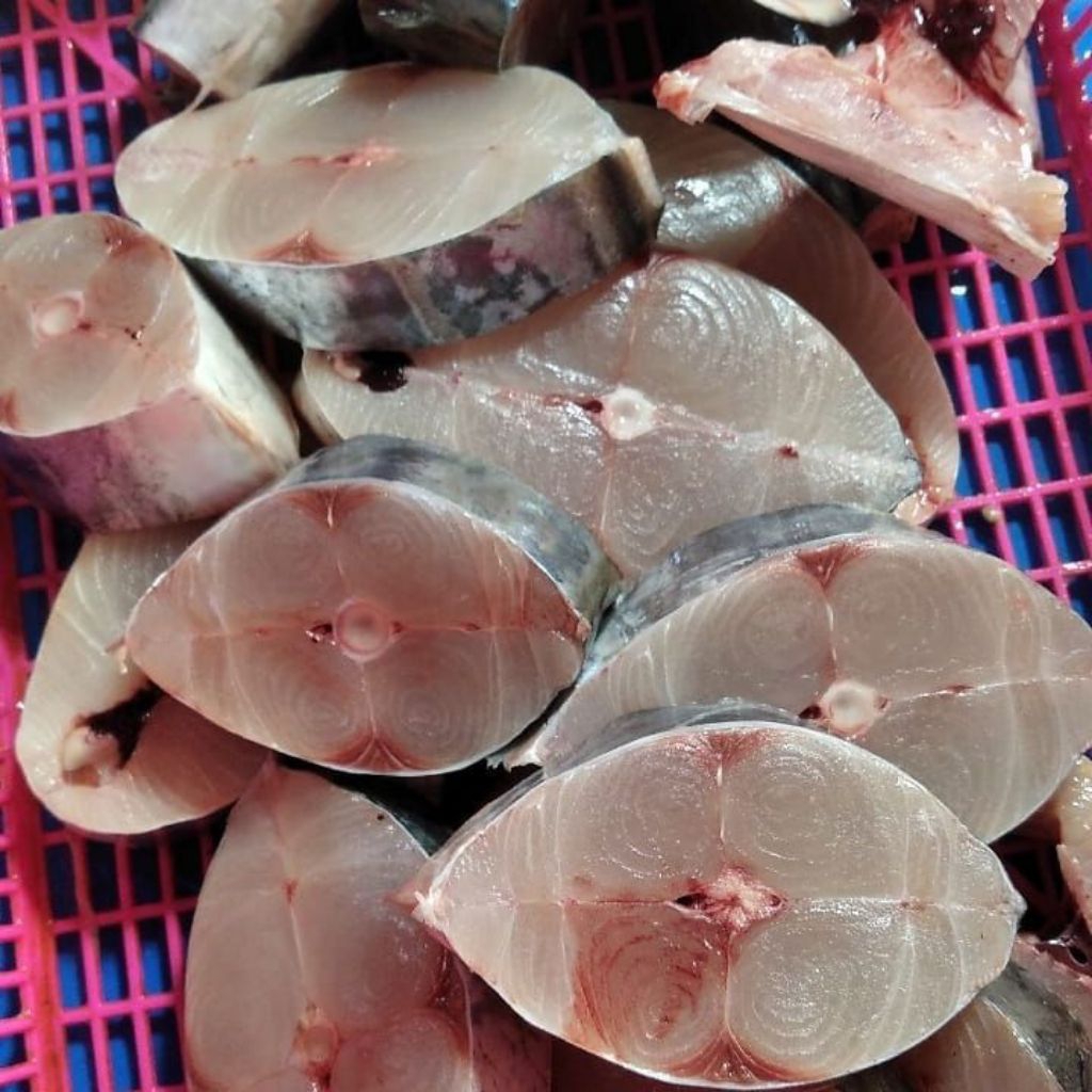 

ikan tenggiri besar