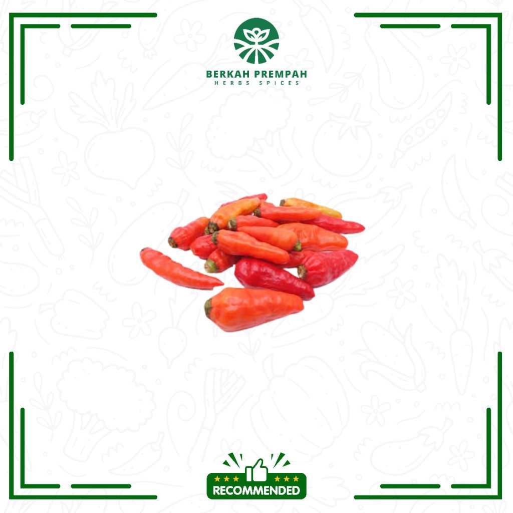 

Cabe rawit merah petik segar - Berkahprempah