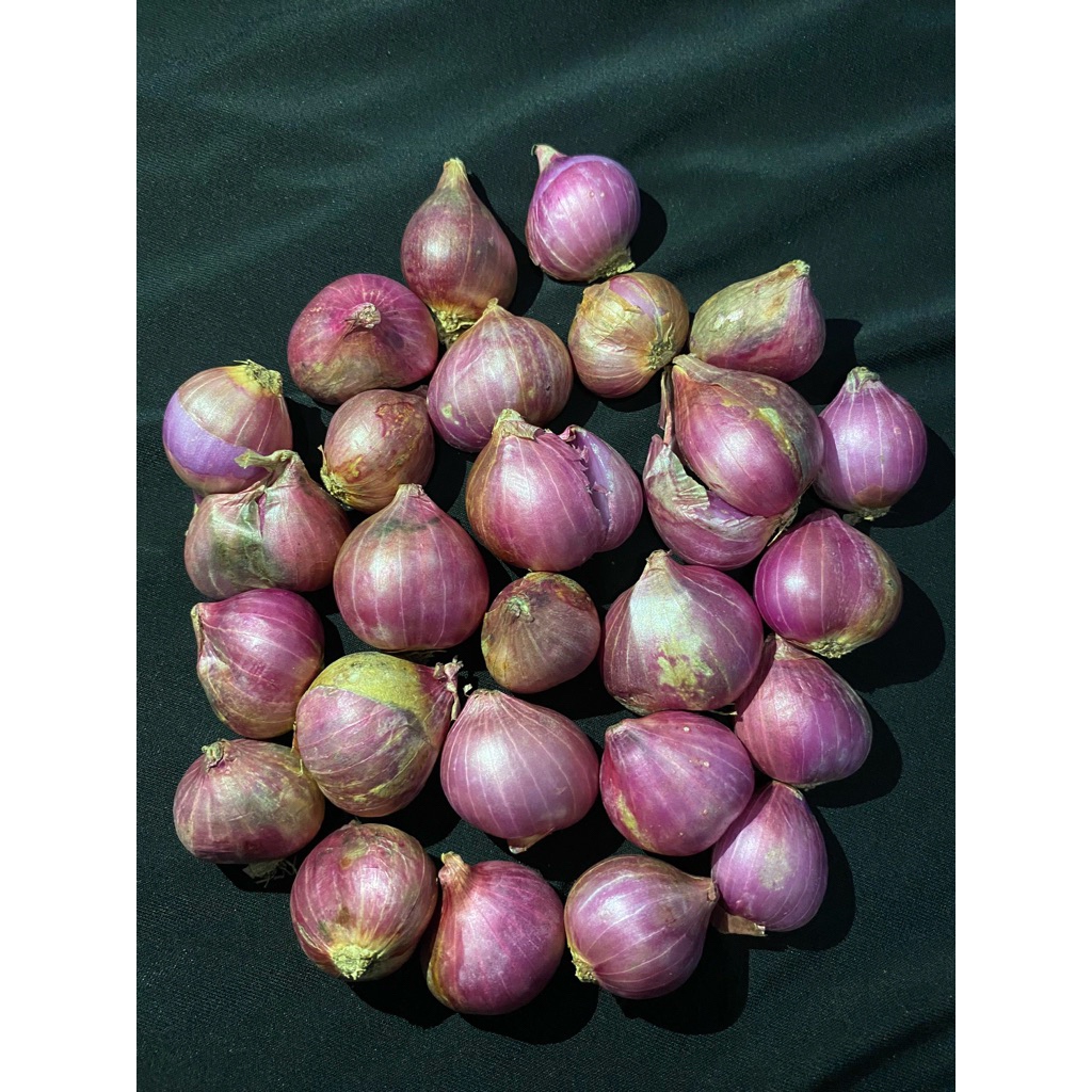 

BAWANG MERAH PROBOLINGGO KUALITAS SUPERR berat 500gr
