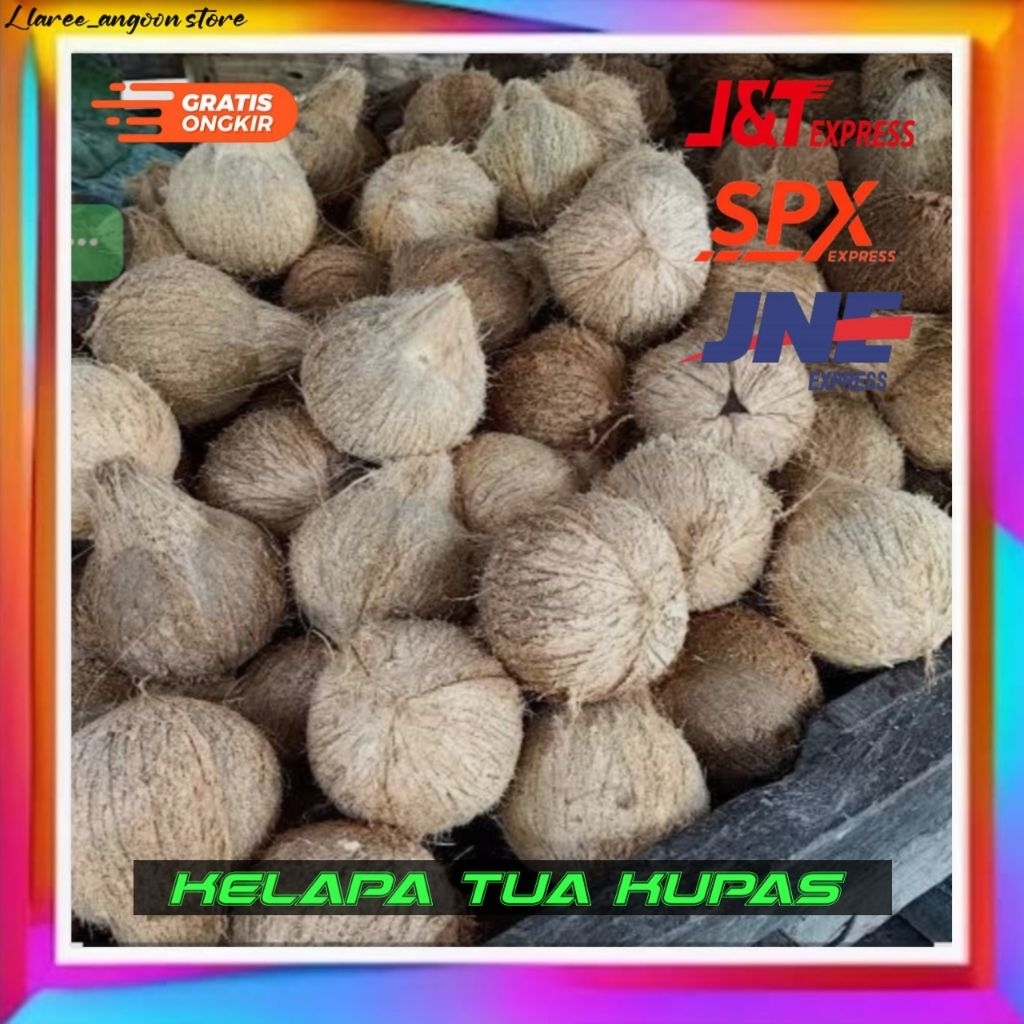 

kelapa tua kupas/ kelapa tua / kelapa untuk santan