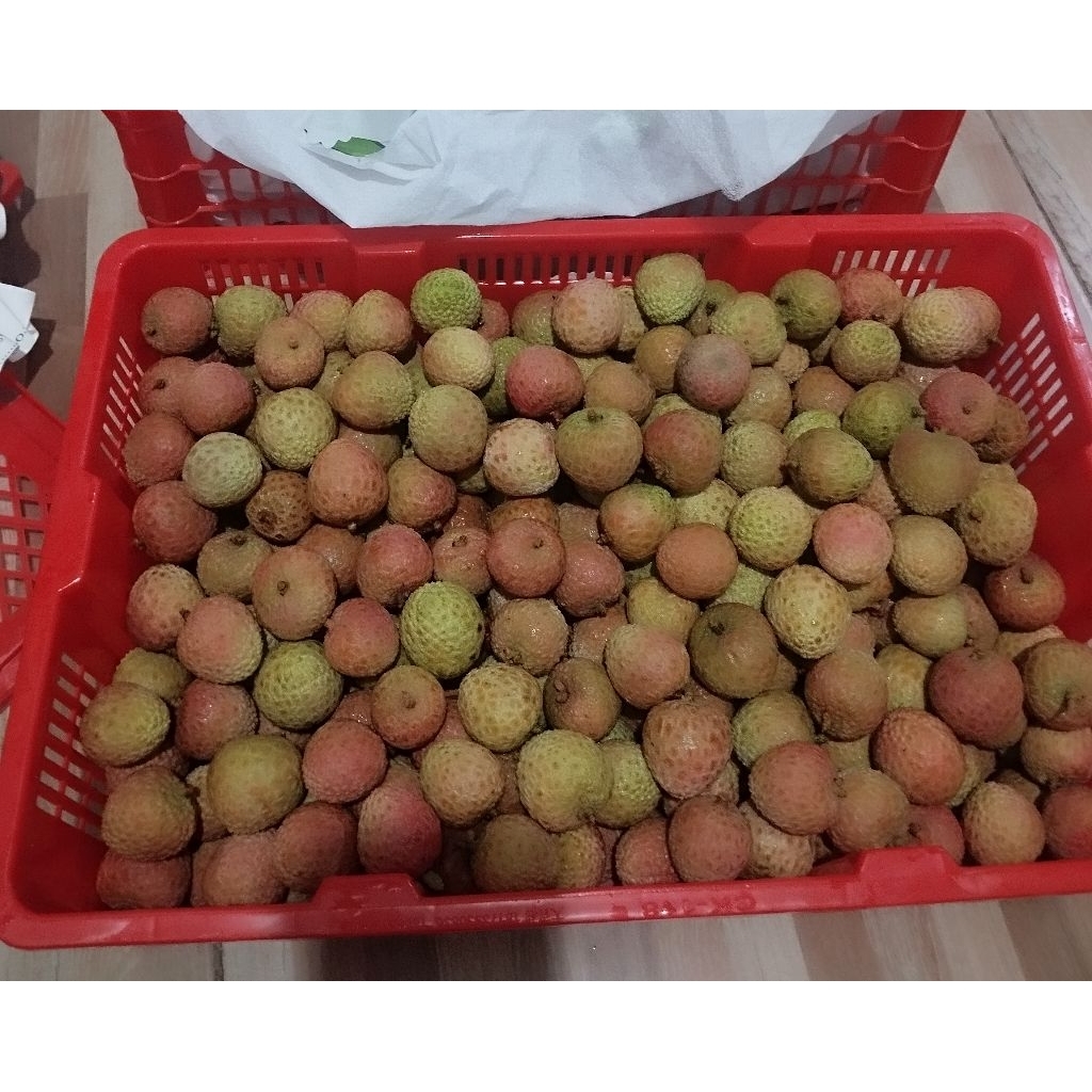 

buah leci madu segar daging tebal