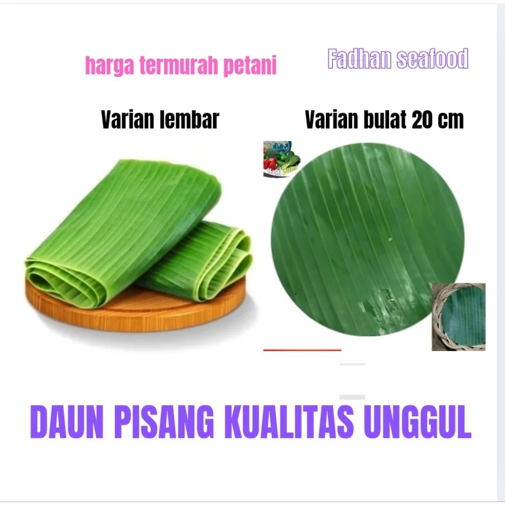 

DAUN PISANG segar fresh daun pisang untuk lontong / daun pisang alas makanan/bungkus makanan TERMURAH TERLARIS bisa cod