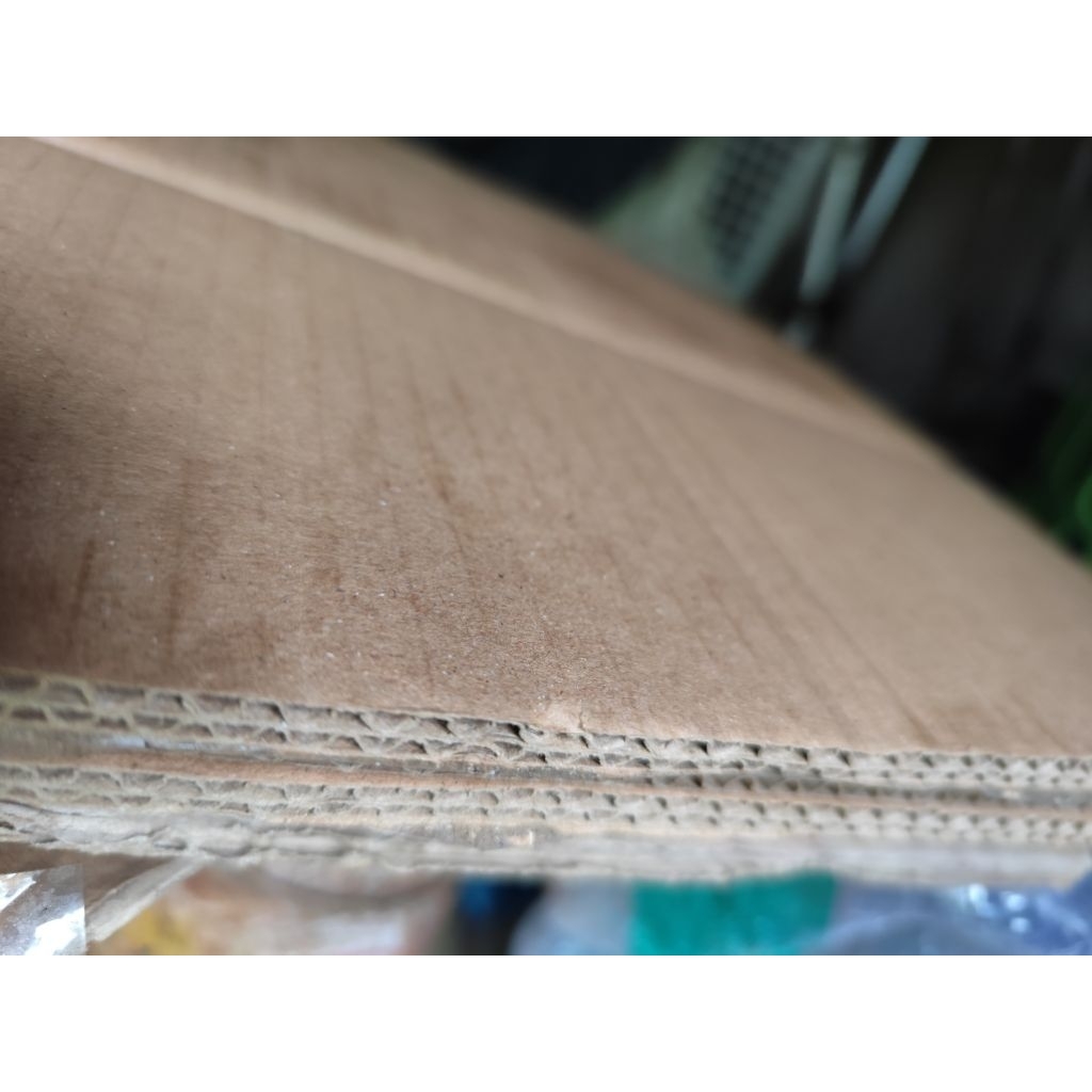 

Paking Kardus Lapisan Tambahan 800 Gram