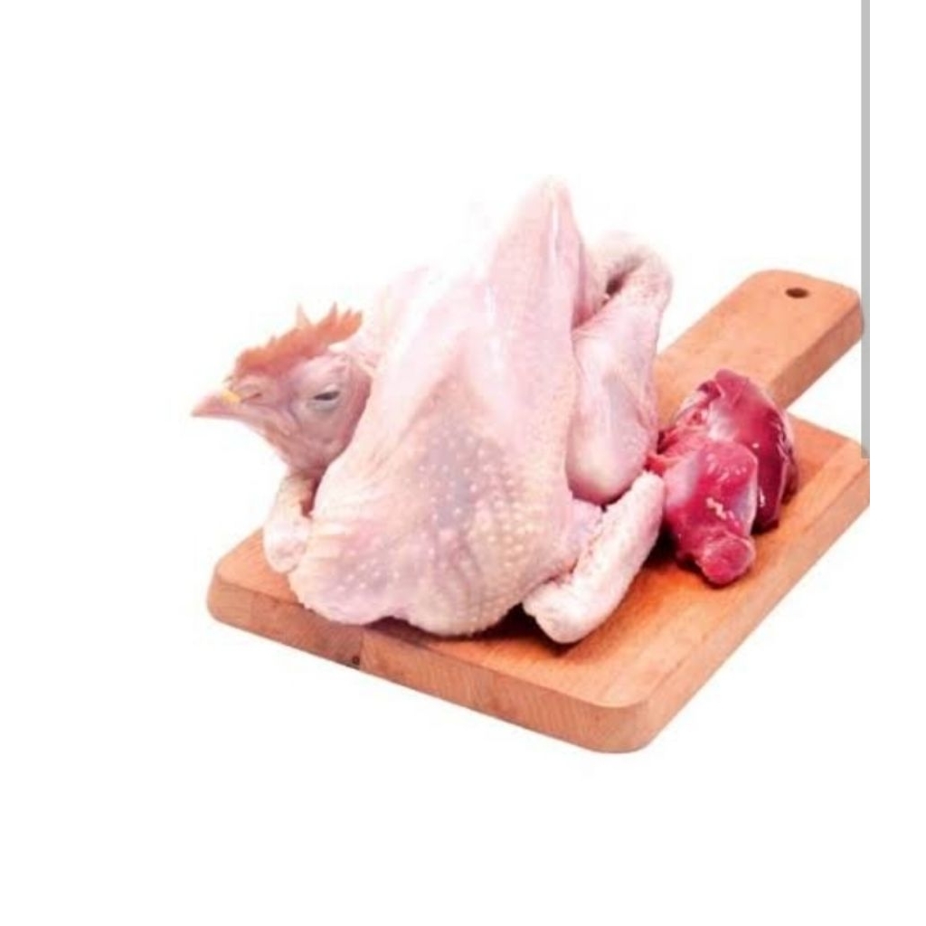 

Ayam Kampung 1 ekor