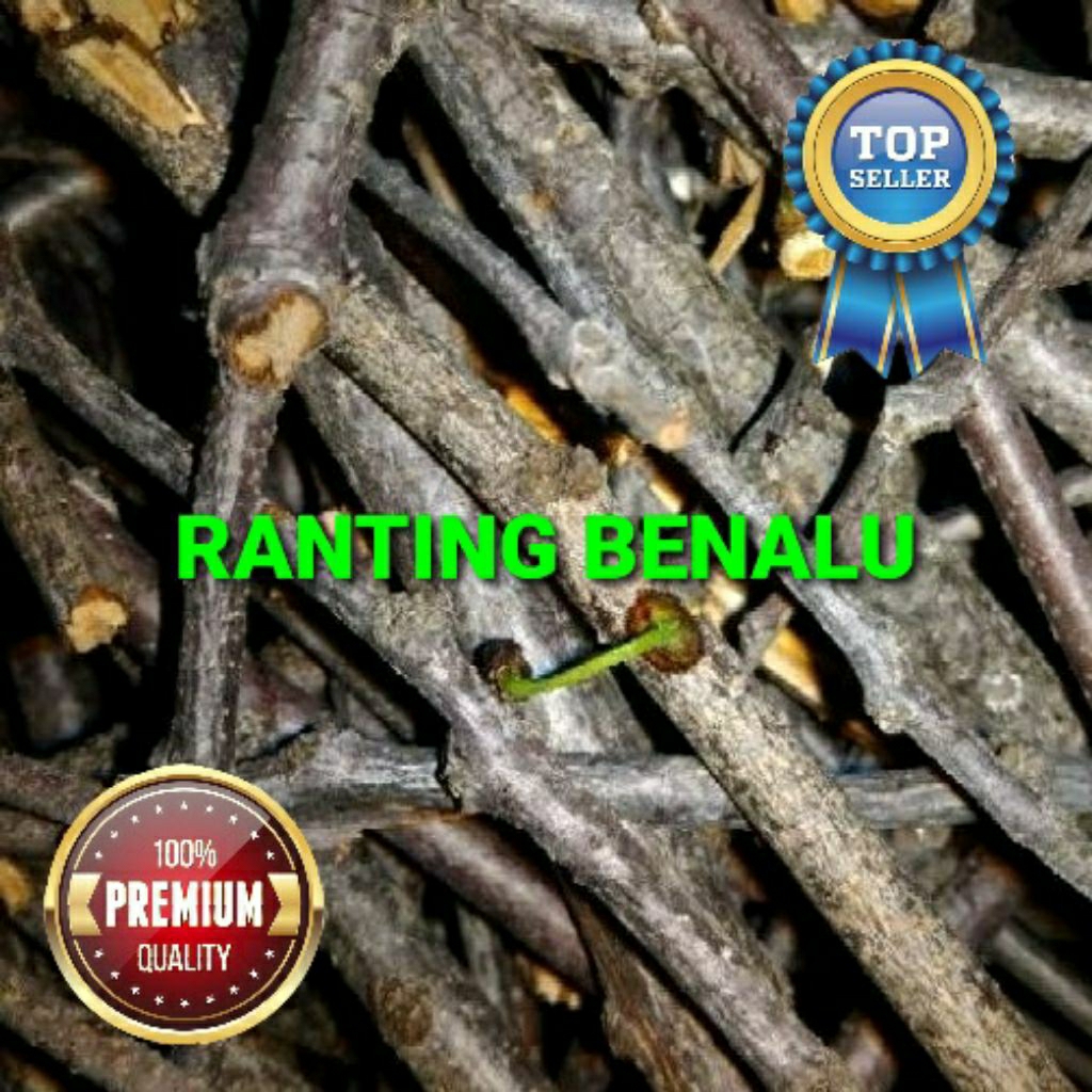 

Ranting/batang benalu cengkeh super grade A+ 1 kg/1000 gram