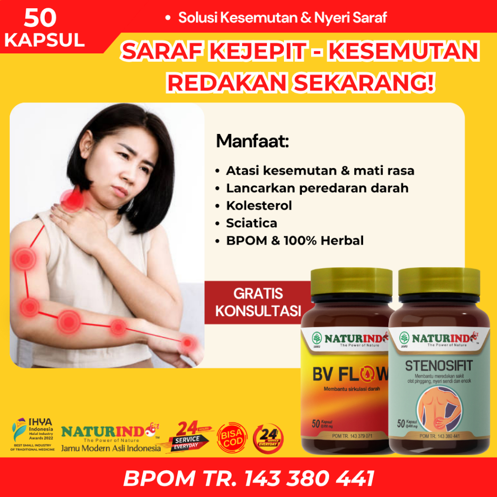 BV FLOW Kesemutan & Sakit Pinggang – Herbal Kolesterol & Pengencer Darah BPOM | BV Flow + Stenosifit