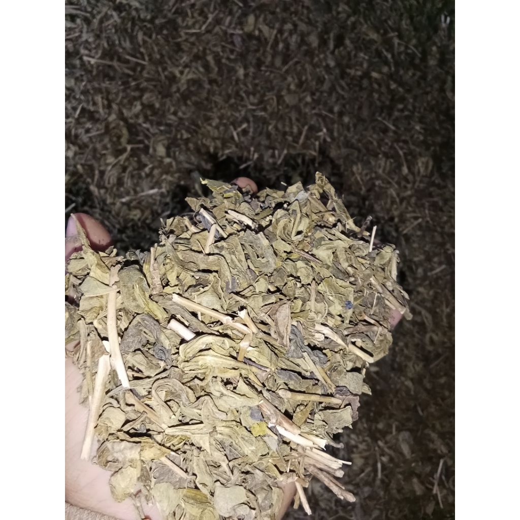 

Teh Hijau Alami Teh Hijau Asli 1Kg