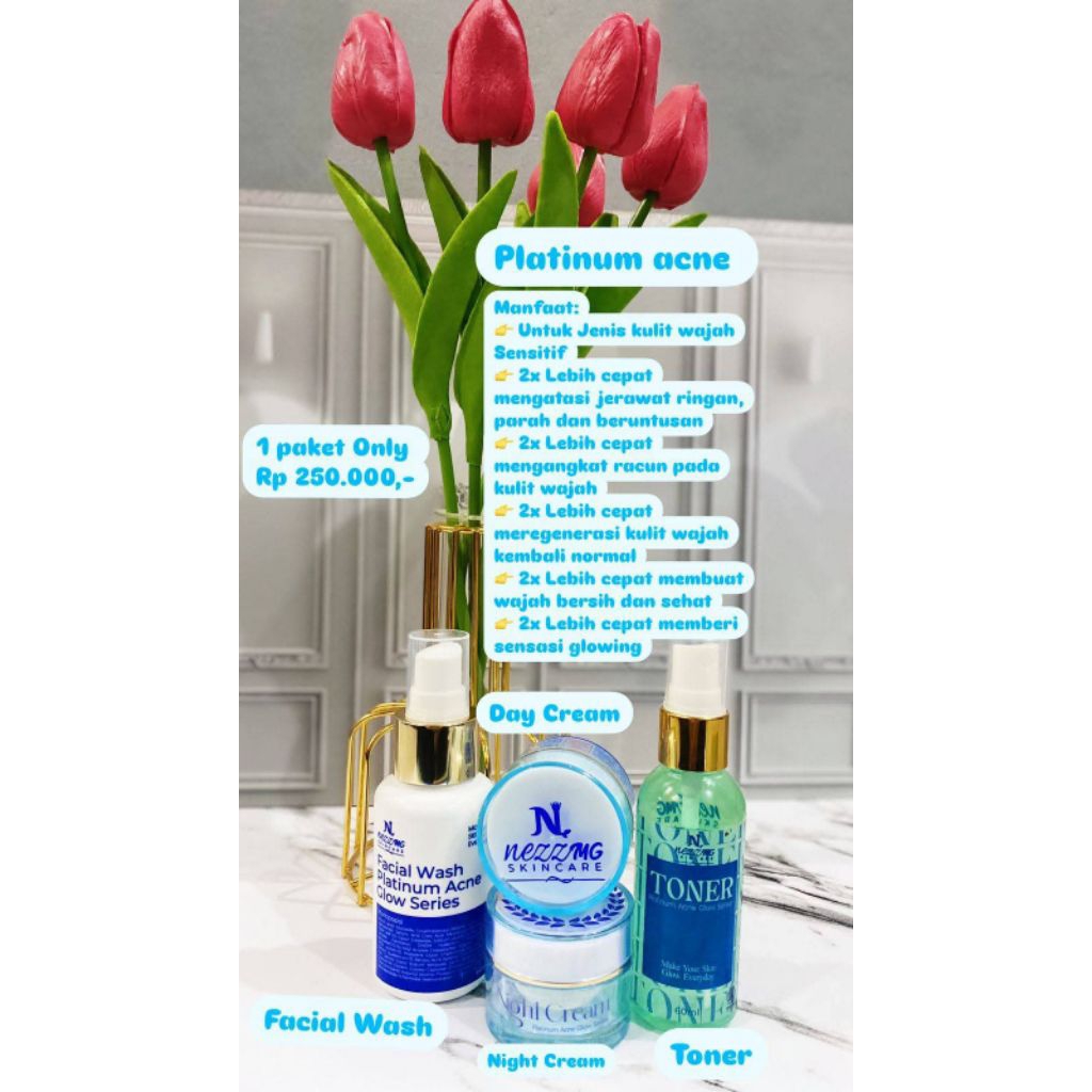 Nezzmg Skincare Paket Acne Platinum