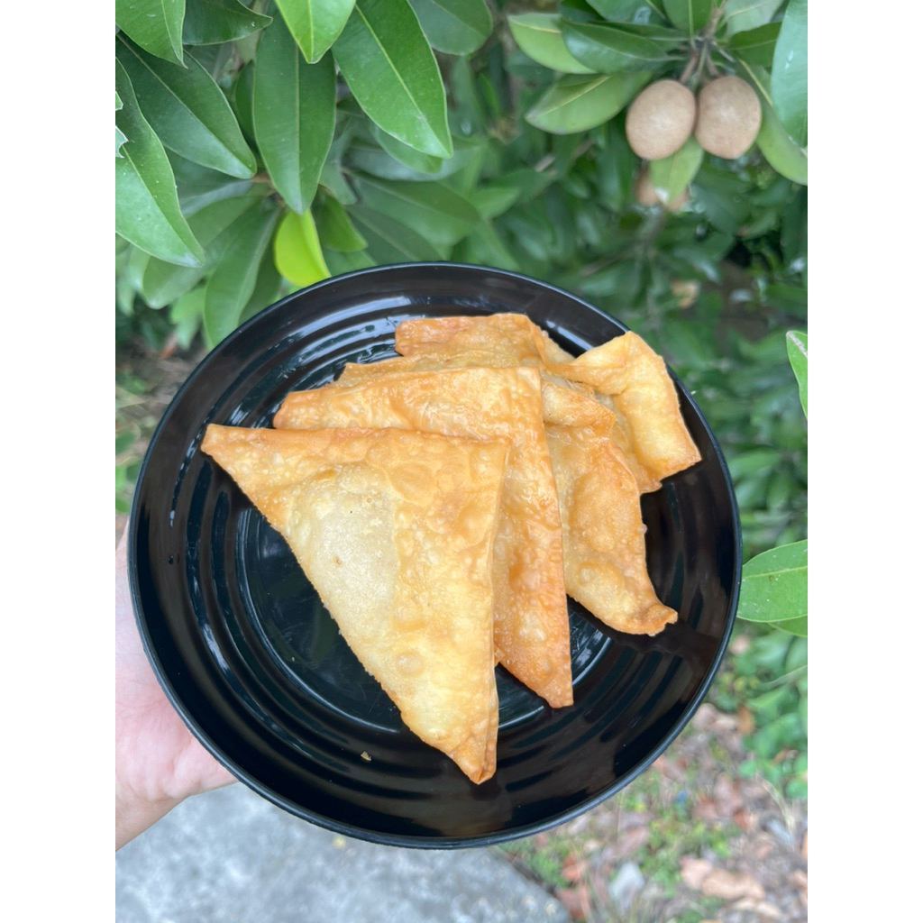 

pangsit isi ayam goreng (5 pcs)